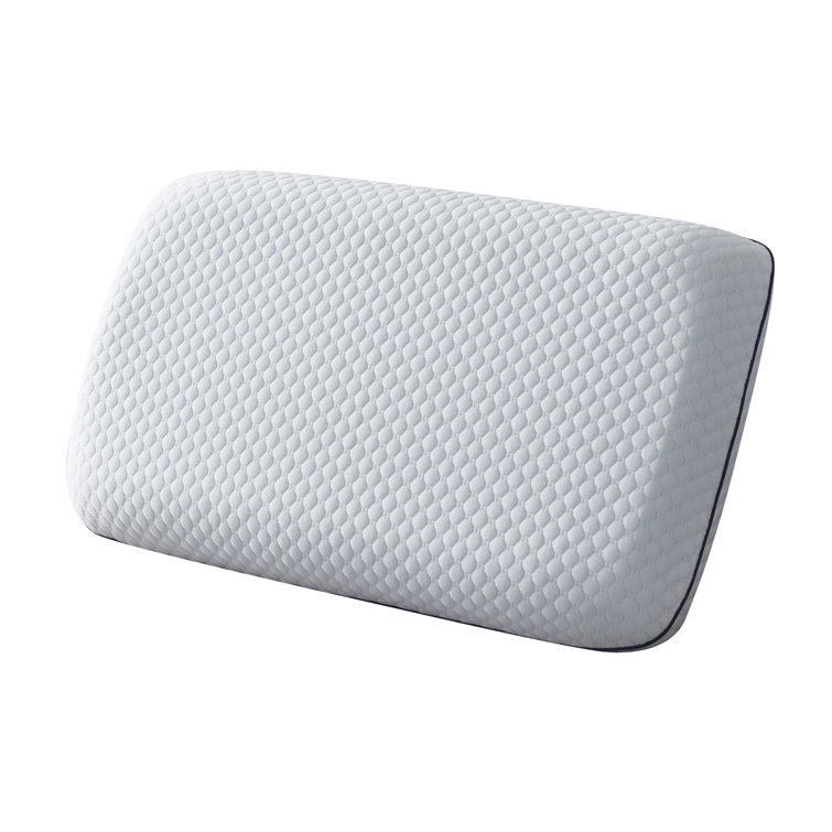 Wayfair memory 2025 foam pillow